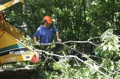 tree services Hardin